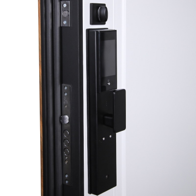 Стальная дверь   Plata (биометрический замок  Smart lock DZ 888)