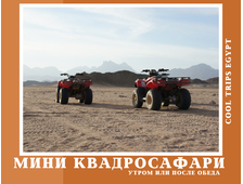 МИНИ КВАДРОСАФАРИ (УТРО/ ПОСЛЕ ОБЕДА) ИЗ ХУРГАДЫ