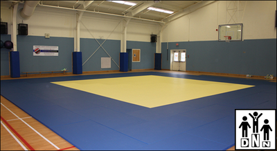 Татами Эконом ПВВ, 4 см, верх ПВХ, открытое дно, 160 кг/м3 DNN