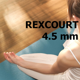 Спортивный линолеум LG Hausys Rexcourt