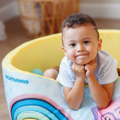 Сухой бассейн Romana Airpool "Профессии" ДМФ-МК-02.56.01 голубой купить в Воронеже