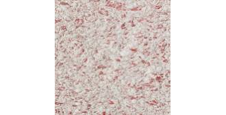 Жидкие обои Silk Plaster Эйр Лайн (Air Line) 606