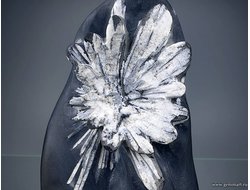 Целестин в аргиллите "хризантемовый камень". Китай. 113*65*35мм