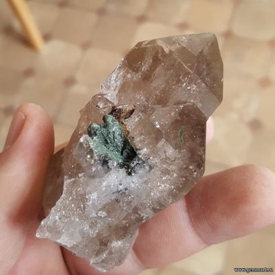 Кристалл сфена (титанита)  на хлорит-серицитовом сланце на друзе дымчатого кварца (раухтопаза) 74*55*42мм