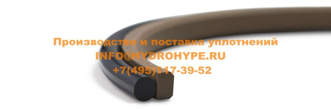 Штоковая манжета из тефлона(PTFE) с кольцом RO из NBR