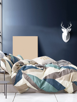 Постельное белье TANGO Twill сатин семейное 150x200x2 220x245x1 70x70x2 TPIG5-1886-70