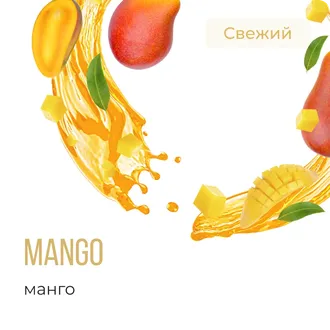 ELEMENT (ЗЕМЛЯ) 40 г. - MANGO (МАНГО)