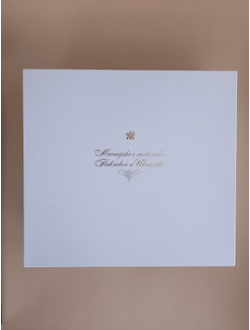 Комплект ёлочных игрушек "Серебряное копытце"