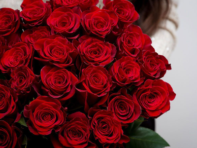 Букет из 25 красных роз