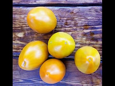 Томат Суровая Дыня немцев Поволжья (Severe Melon)