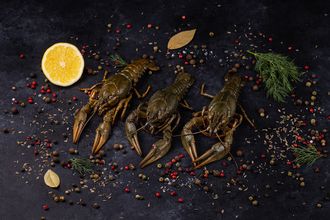 Отборный рак ~ 11-14шт в 1 кг