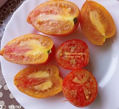 Томат Желтый огонь (Yellow fire, Желтое пламя)