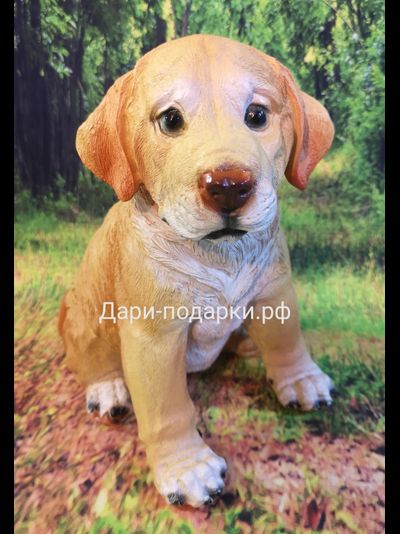ЛАБРАДОР щенок 24*23см  полистоун Россия 895-012704