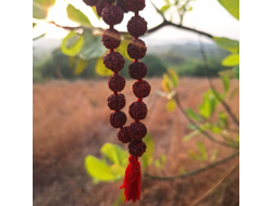 Четки из натуральной маленькой Рудракши цвет красный