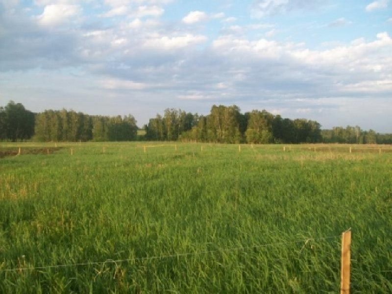 Купить Землю Под Ижс В Красноярска