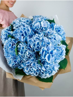 11 голубых гортензий в крафте