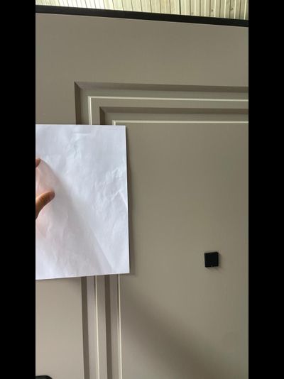 Входная Дверь Трамп Штамп 4.1