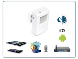 Охранная IP WiFi-LAN видеокамера с ночным видением и аудиоканалом (корпус ИК датчика), встроенный DVR. HD (Pro Ezcam)