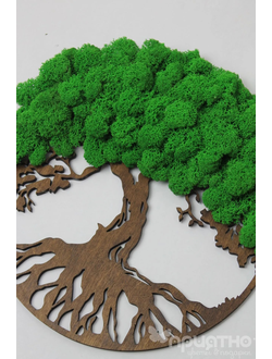 ЖИВАЯ ЭКО-КАРТИНА 1025