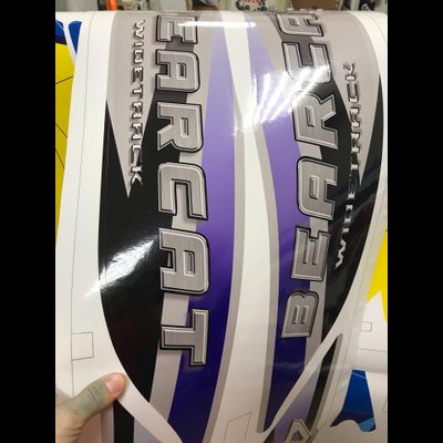 Arctic Cat 2004 Bearcat 660 #2256