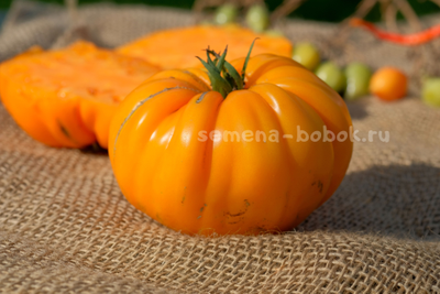 Томат Oro Giant (ОРО Гигант), 10 шт