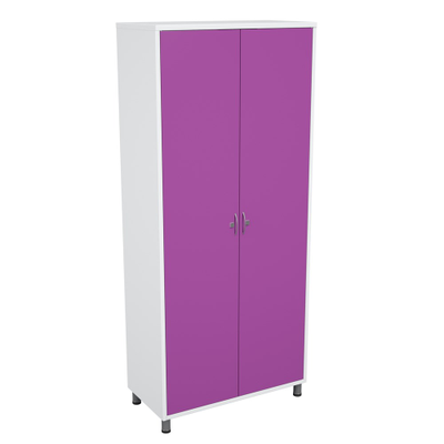 Шкаф медицинский для хранения документов ШОДр-2.1