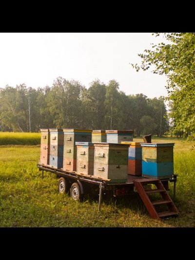 Прицеп «Тандем» (8213 2E)