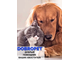 DobroPet-87 препарат для животных Спрей-лосьон Гигиена глаз кошек и собак, 100 мл