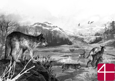 Волк по имени Странник (модификация 7)