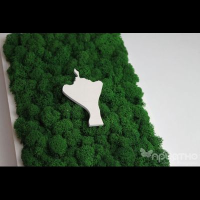 ЖИВАЯ ЭКО-КАРТИНА 07 - ДЕНЬ ВЛЮБЛЕННЫХ