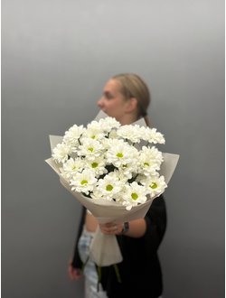 Букет из 5 кустовых хризантем