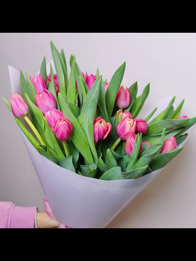 Букет пионовидных тюльпанов 25 шт Columbus