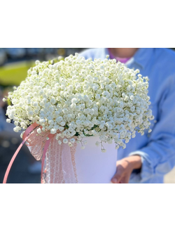 Композиция из гипсофилы «‎М»