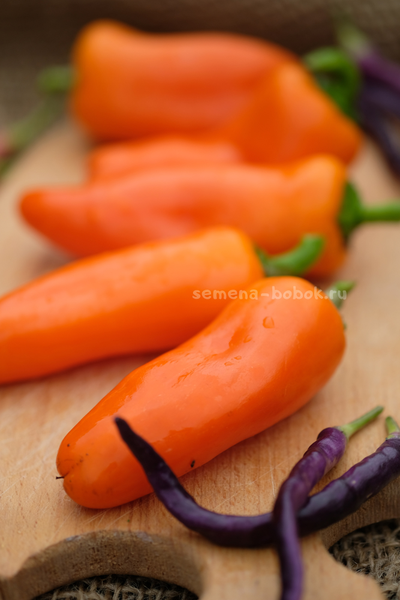 Перец сладкий Апельсин, 10 шт