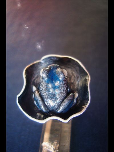 Мистическое кольцо с лягушкой "Лунная принцесса"