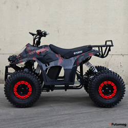 Электроквадроцикл ECO MINI X3 36V50AH