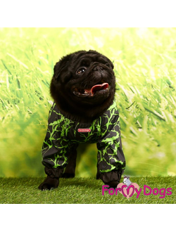 ДОЖДЕВИК ЧЕРНО/ЗЕЛЕНЫЙ НЕОН ДЛЯ МОПСОВ И ФРАНЦУЗОВ