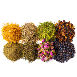 Травы и кустарники