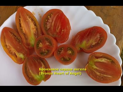 Томат Бронзовое сердце ангела (Bronze heart of Angel)