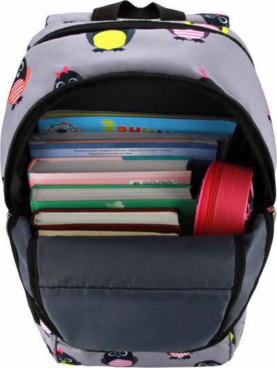 Школьный рюкзак Optimum City 2 RL, пингвины