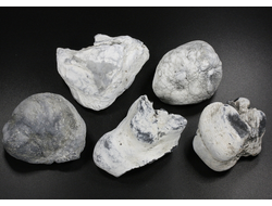 Кахолонг (Опал), желвак цельный в ассортименте, Оренбургская обл. (50-60 мм, 73-88 г) №29437