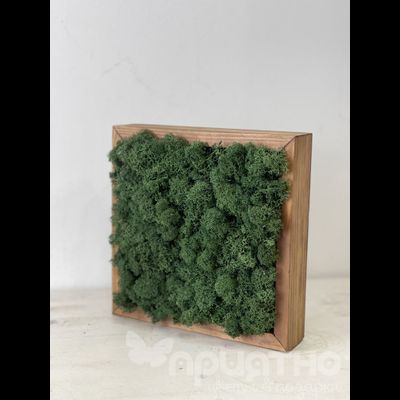 ЖИВАЯ ЭКО-КАРТИНА 1064