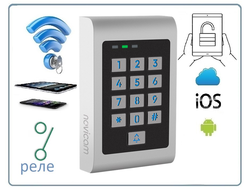 SE210KW WIFI - контроллер/считыватель СКУД c клавиатурой и удаленным управлением, Версия: 4019 (Tuya/Smart Life)