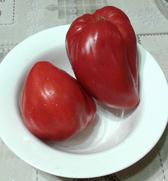 Семена томата Древнее сердце Акви Терме