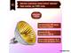 Muller Licht HLRG-520FG/Gold BAB/C 20w 12v 36° GU5.3