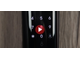 Электронный замок Smart lock DZ 888