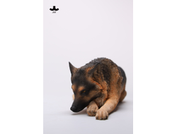 Немецкая овчарка (лежащая) - Коллекционная фигурка 1/6 Lying German Shepherd Figurine (JXK254A) - JXK
