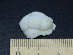 Халцедон, Россия, Кисловодск (19*16*6 мм, 1,6 г) №26589