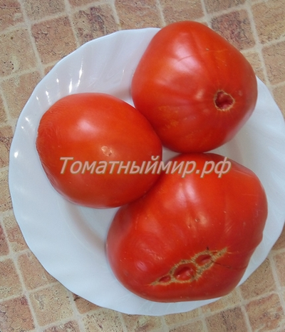 Томат Итало (Italo)
