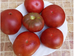 Томат Красавчик папа (Hunk papa)